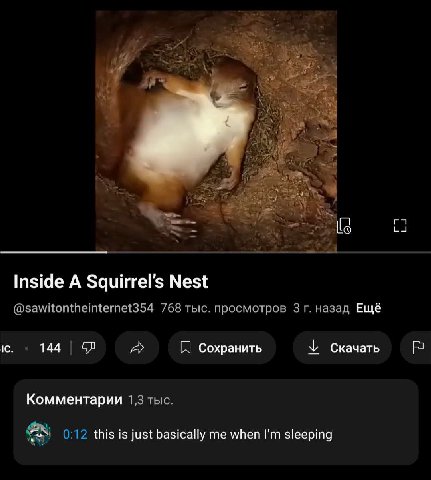 [3 Inside A Nest @sawitontheinternet354 768 тыс. просмотров 3 назад Ещё 144 Сохранить Скачать Комментарии 1,3 тыс. 0:12 this is just basically me when sleeping