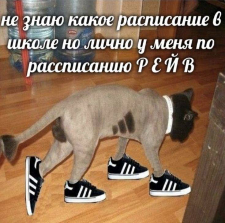 не знаю какое расписание 6 школе но лично у меня по рассписанию