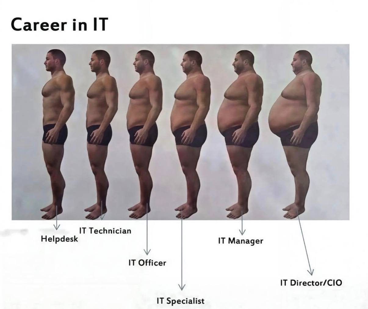 Career IT IT Technician Helpdesk IT Manager IT Officer IT IT Specialist
