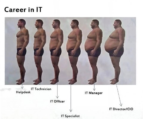 Career IT IT Technician Helpdesk IT Manager IT Officer IT IT Specialist