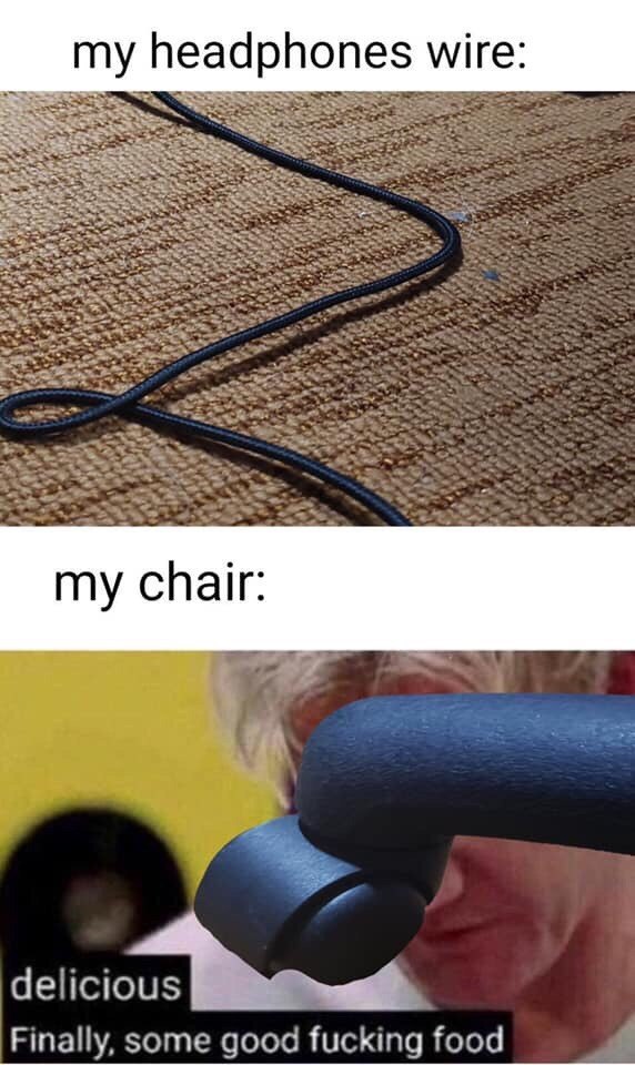 headphones wire: AS delicious Finally, some good fucking food