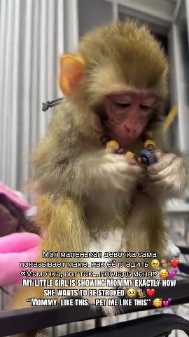 Моямаленькаядлевочкасама 6 показываетмамеукакегладить ®% KA «Мамочка FO VEKn MONEVaT> менее Juve GIRL}IS{SHOWING|MOMMY/EXACTLY HOW | АЕ МОММУ, LINE THISEAPETIME'LIKE THIS” i o>” у