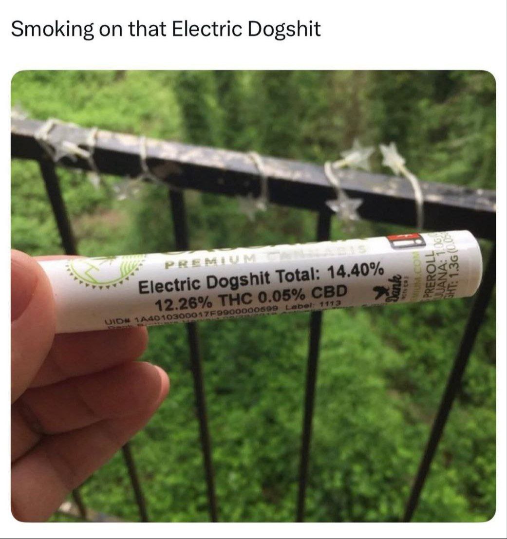 Smoking on that Electric Dogshit