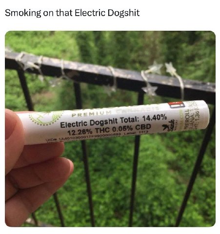 Smoking on that Electric Dogshit