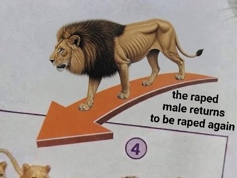the raped male returns 0 be raped again