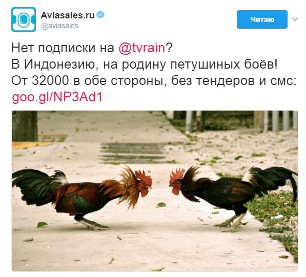 однажды я сказала что люблю сммщика авиасейлз и меня не взяли на работу