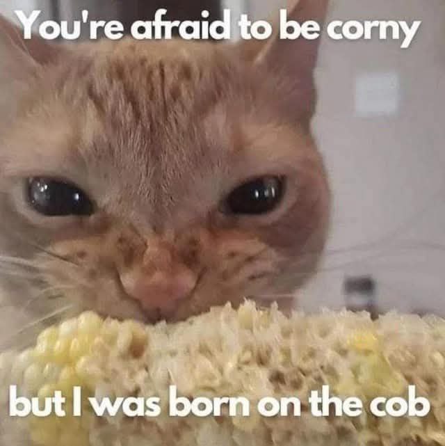 You're afraid to be corny but was born on the cob