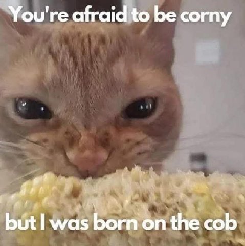 You're afraid to be corny but was born on the cob