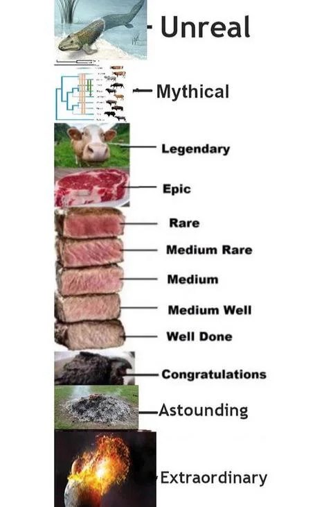 Unreal Legendary Epic Rare Medium Rare Medium Medium Well 4 Well Done Congratulations Astounding Extraordinary