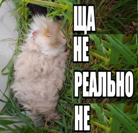 к а