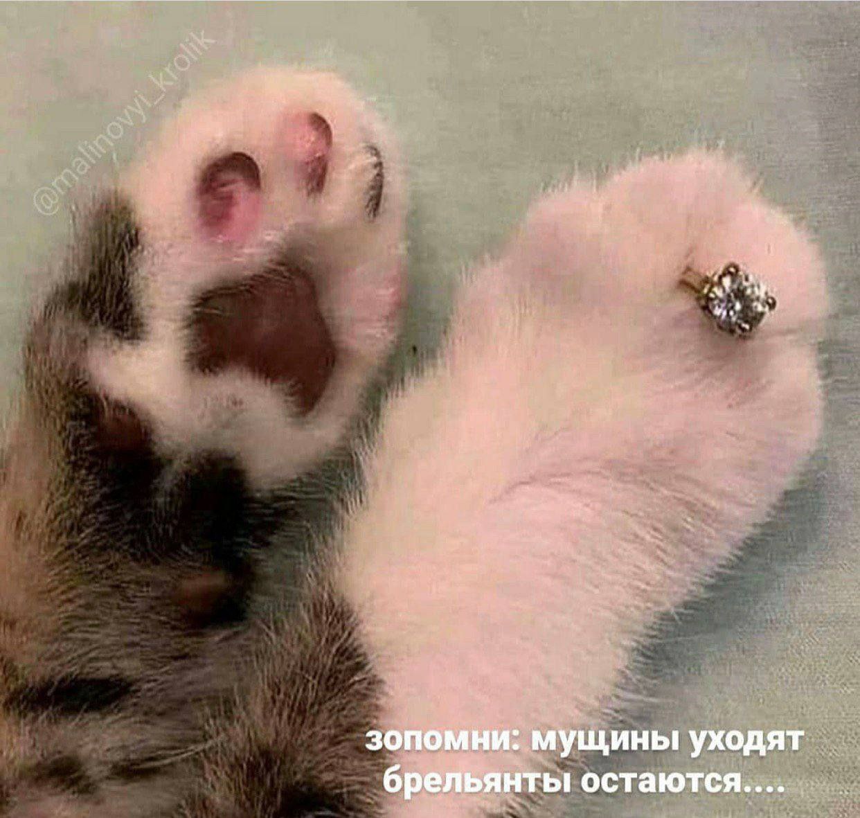 и зопомни. мущины уходят брельянты