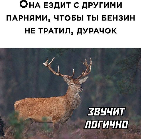 НА ЕЗДИТ С ДРУГИМИ ПАРНЯМИ, ЧТОБЫ ТЫ БЕНЗИН НЕ ТРАТИЛ, ДУРАЧОК «7 ЗВУЧИТ ЛОГИЧНО