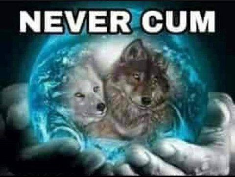 NEVER CUM