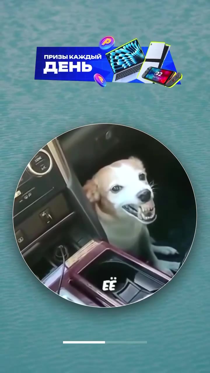 ПРИЗЫ КАЖДЫЙ ZS | }