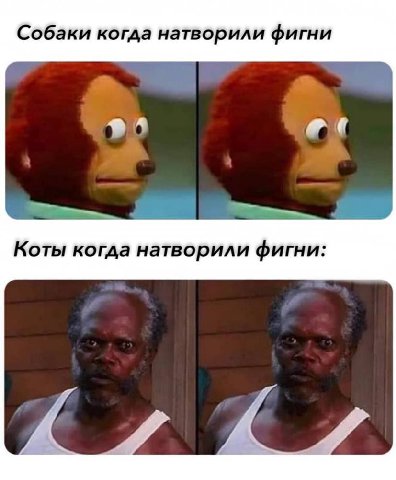 Собаки когда натворили фигни Коты когда натворили фигни: