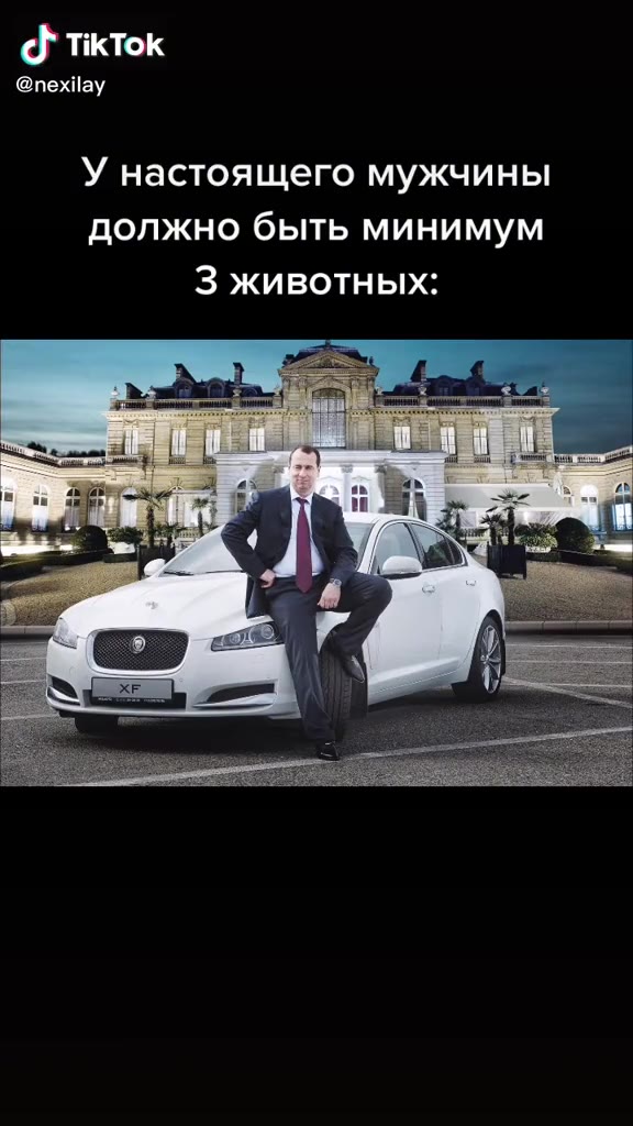 У настоящего мужчины должно быть минимум 3 животных: » Крокодил Ha ногах № Ягуар в гараже Ну и мамонт, на котором все это держится 1” >. eunanener лить деньги" _ Вуданороводить Aenbiny