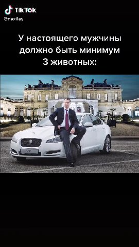 У настоящего мужчины должно быть минимум 3 животных: » Крокодил Ha ногах № Ягуар в гараже Ну и мамонт, на котором все это держится 1” >. eunanener лить деньги" _ Вуданороводить Aenbiny