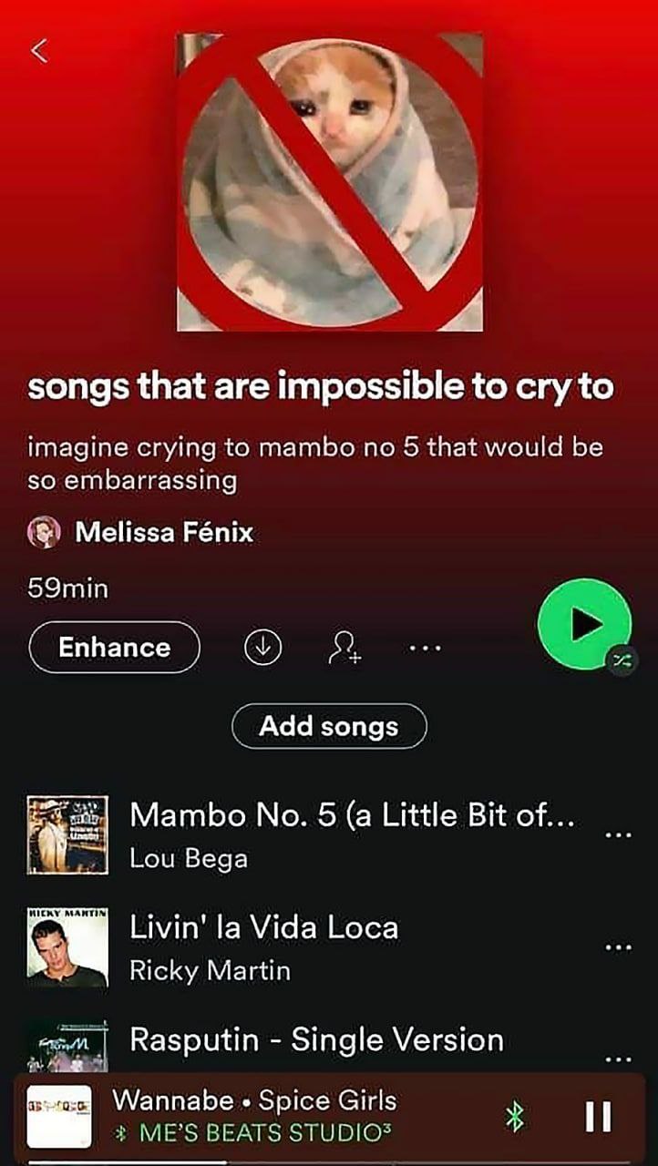 songs that are impossible to cry to imagine crying to mambo no 5 that would be so embarrassing Melissa Fénix 59min Mambo No. 5 (a Little Bit of... Lou Веда MANT [а Vida Loca Ricky Martin Rasputin Sing
