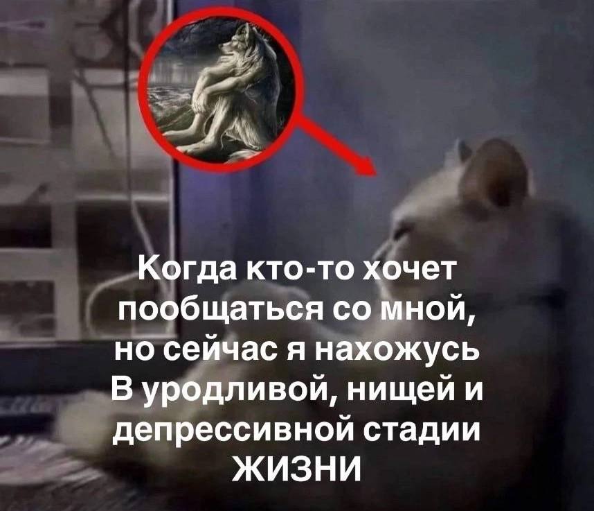 Я Когда кто-то хочет пообщаться мной, но сейчас я нахожусь В уродливой, нищей и депрессивной стадии ЖИЗНИ