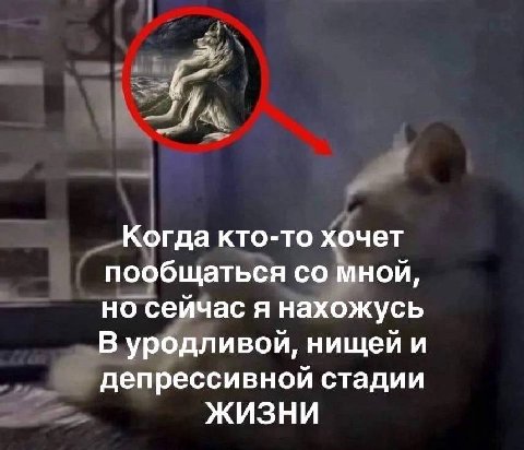 Я Когда кто-то хочет пообщаться мной, но сейчас я нахожусь В уродливой, нищей и депрессивной стадии ЖИЗНИ