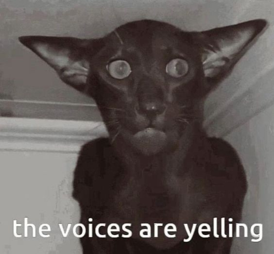 the voices are yelling
