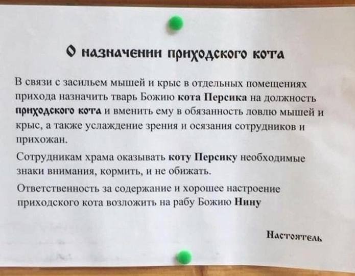 назначении приходского В связи с засильем мышей и крыс в отдельных помещениях прихода назначить тварь Божию кота Персика на должность приходского кота и вменить ему в обязанность ловлю мышей и крыс, а