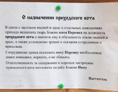 назначении приходского В связи с засильем мышей и крыс в отдельных помещениях прихода назначить тварь Божию кота Персика на должность приходского кота и вменить ему в обязанность ловлю мышей и крыс, а