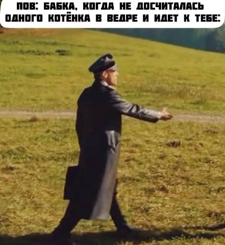 ПОВ. БАБКА, КОГДА НЕ ДОСЧИТАЛАСЬ ОДНОГО КОТЕНКА В ВЕДРЕ И ИДЕТ К ТЕБЕ.