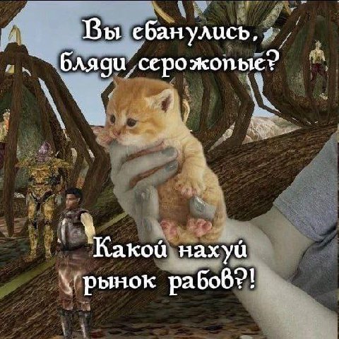 Вы ебанулись, бляди серожопые? Какой нахуй рабов?!