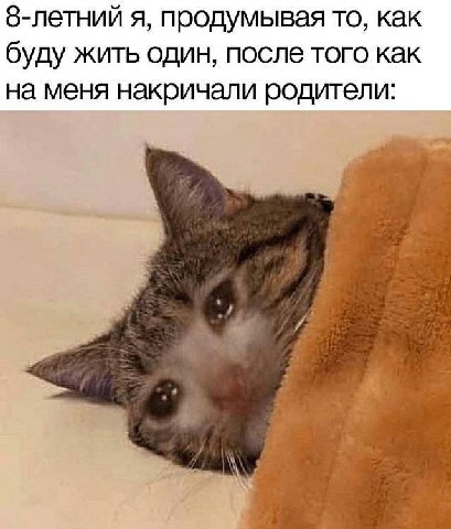 я, продумывая то, как буду жить один, после того как на меня накричали родители: