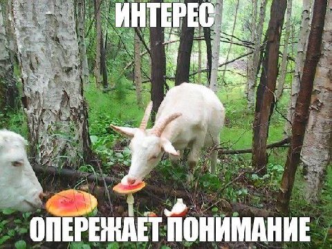 ИНТЕРЕС a 1 =i ОПЕРЕНАЕТ ПОНИМАНИЕ