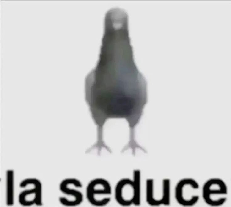хехе