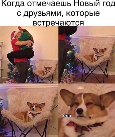 когда отмечаешь новый год с друзьями, которые встречаются бля