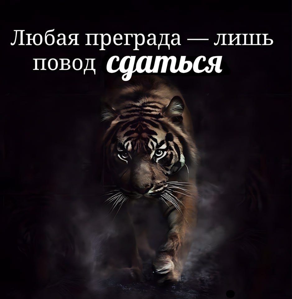 Любая преграда лишь повод