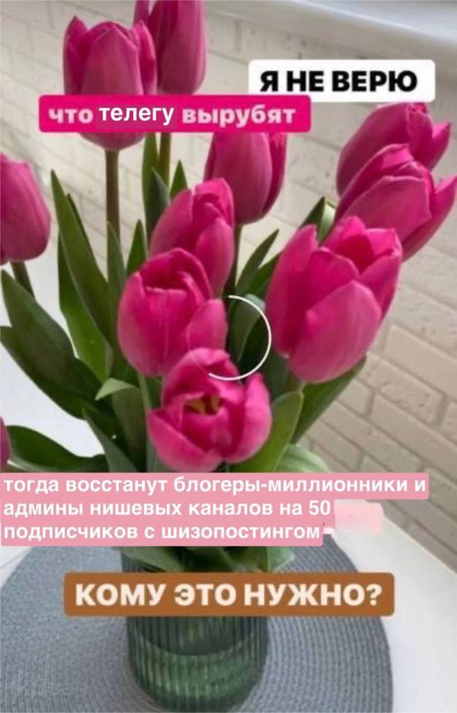 ЯНЕВЕРЮ что телегу вырубят 5 тогда восстанут блогеры-миллионники и админы нишевых каналов на 50 подписчиков с шизопостингом КОМУ ЭТО НУЖНО?