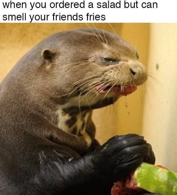 when you ordered a salad but can smell your friends тез