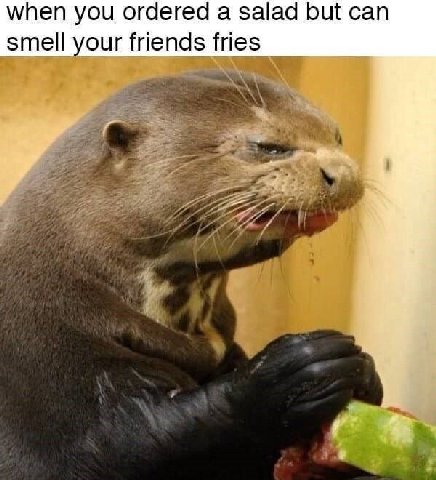 when you ordered a salad but can smell your friends тез