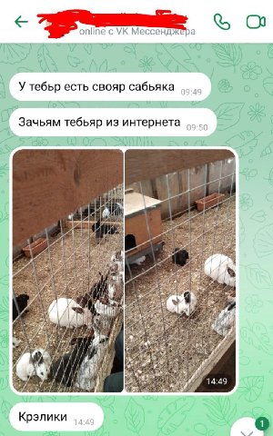 online с Мессенджера 1 У тебьр есть свояр сабьяка Зачьям тебьяр из интернета a у 53 7 4! 14:49 Крэлики