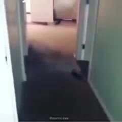 мем