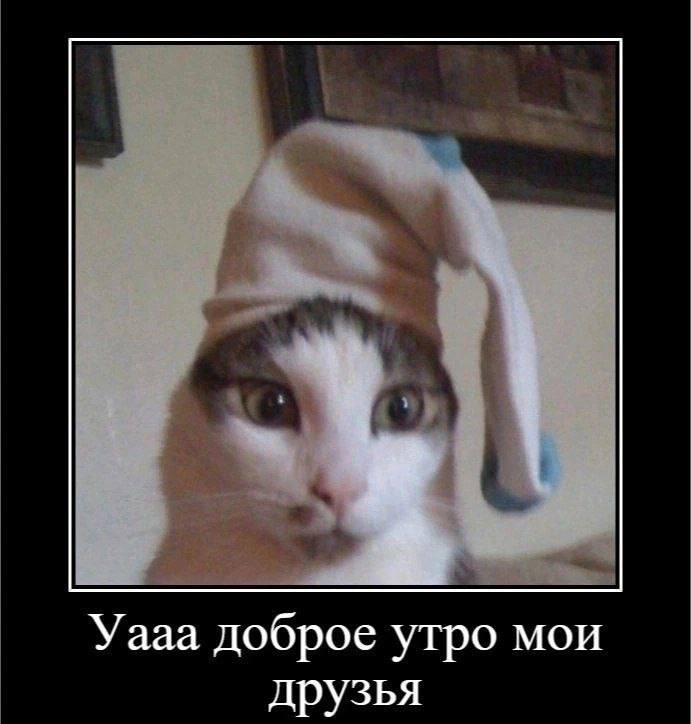 Уааа доброе утро мои друзья