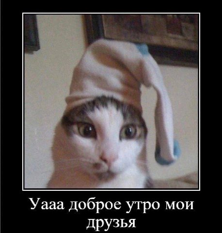 Уааа доброе утро мои друзья
