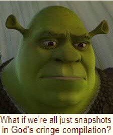 hat if we're all just snapshots in God's cringe compilation?