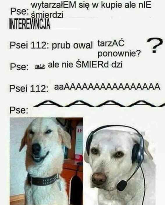 _wytarzalEM sie Кире ale nlE Psei 112: prub owal tarzAC ponownie? ale SMIERd dzi Pse Psej 112: ааАААААААААААААААА Pse
