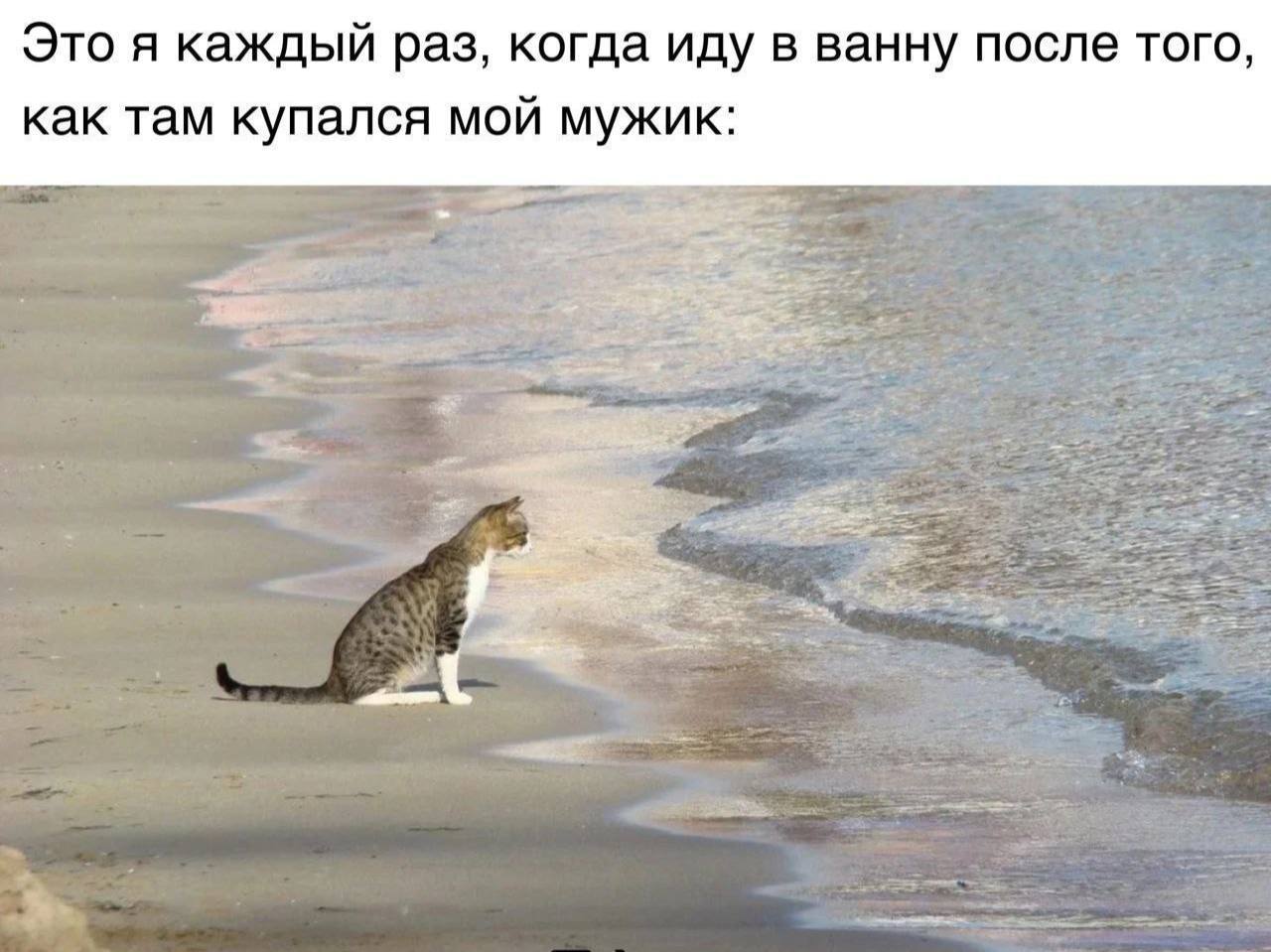 Это я каждый раз, когда иду в ванну после того, как там купался МОЙ мужик: