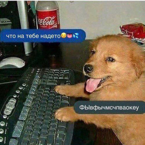 что на тебе надето ФЫвфычмсчпваокеу