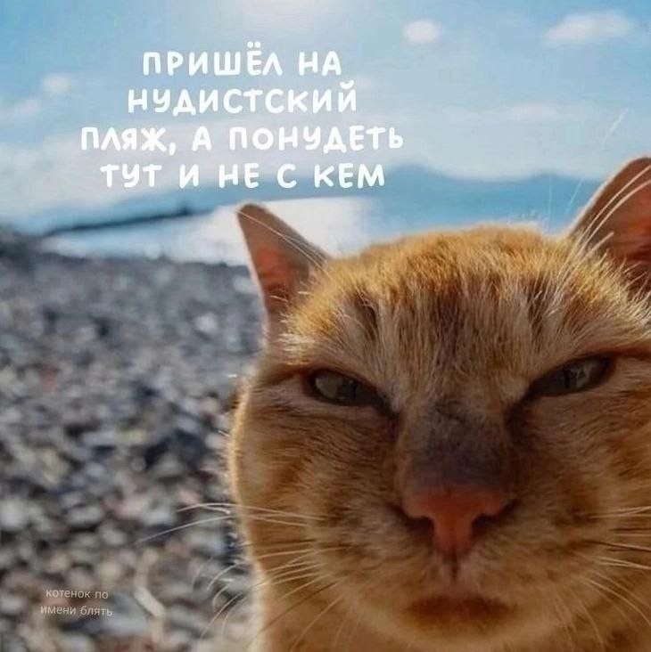 ПРИШЁЛ ТУТ KEM