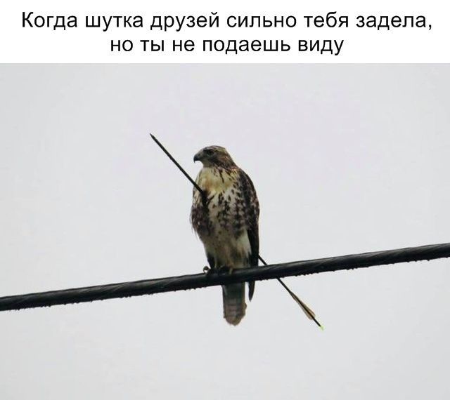 Когда шутка друзей сильно тебя задела, но ты не подаешь виду