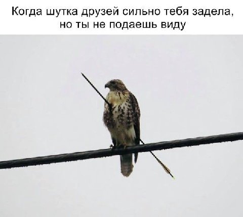 Когда шутка друзей сильно тебя задела, но ты не подаешь виду