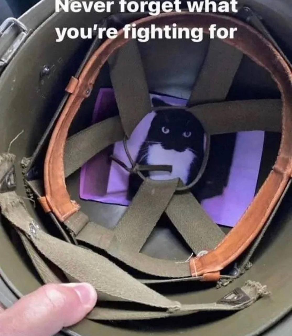 Never wna you're fighting for