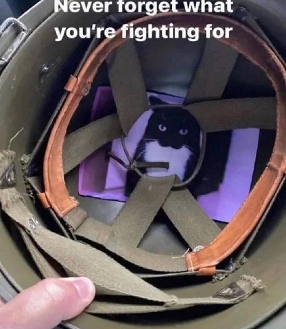 Never wna you're fighting for